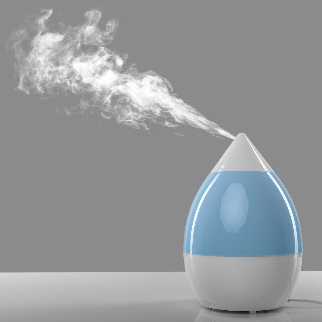 Home Humidifiers Can Cause Bacteria and Mold in Your Home